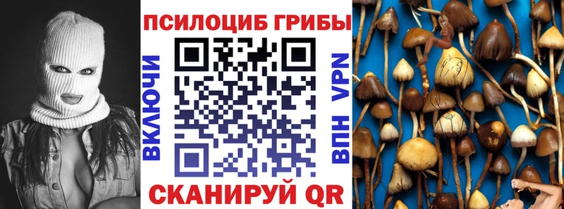 Псилоцибиновые грибы Magic Shrooms  Строитель 