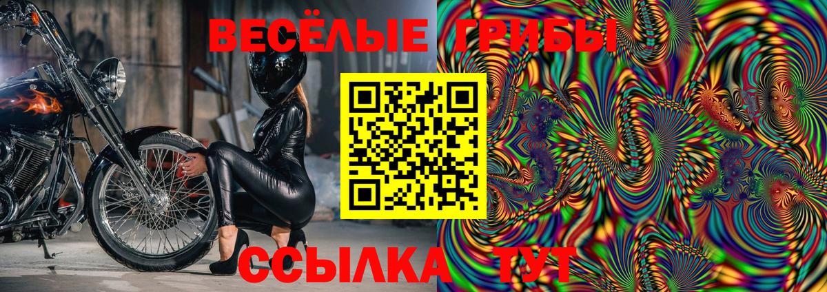 Псилоцибиновые грибы Psilocybine cubensis Строитель