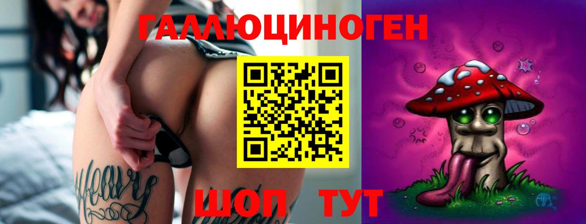 Строитель  Псилоцибиновые грибы MAGIC MUSHROOMS  Вход с VPN 