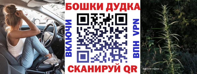 Бошки марихуана индика  Строитель 